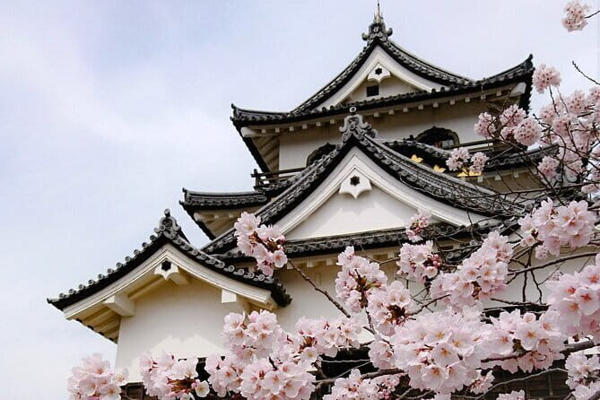 From Nagoya: Castles and Canals in Hikone and Omi Hachiman - A day trip from Nagoya that trades crowds for real old-town scenes