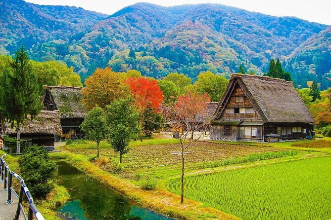 From Nagoya: Castles and Canals in Hikone and Omi Hachiman - Yume Kyōbashi Castle Road: where lunch and small shopping fit naturally