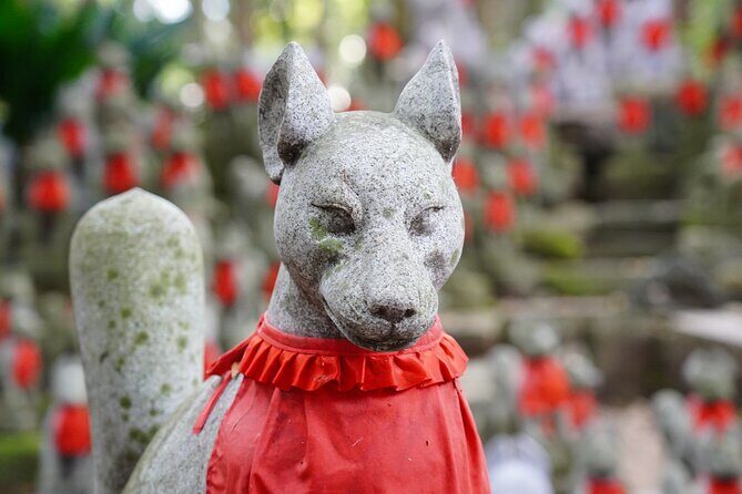 From Nagoya: Discover Aichi — Korankei, Miso, & Inari Shrine - Key things to know before you go