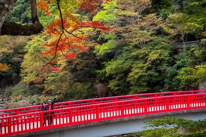 From Nagoya: Discover Aichi — Korankei, Miso, & Inari Shrine - Korankei Visitor Center and the 4,000-maple autumn plan