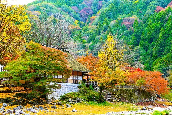 From Nagoya: Discover Aichi — Korankei, Miso, & Inari Shrine - How the 8.5-hour pacing really works