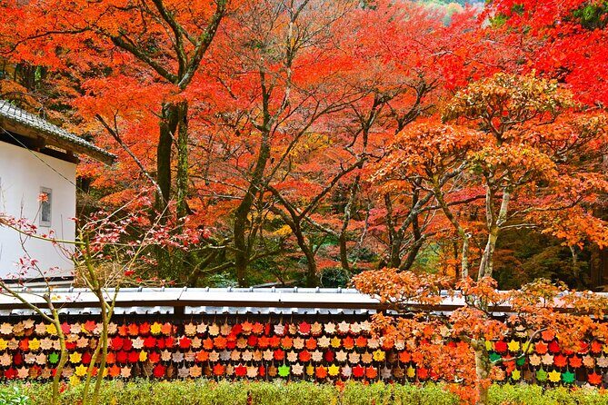 From Nagoya: Discover Aichi — Korankei, Miso, & Inari Shrine - Price and value: what $208.10 buys you
