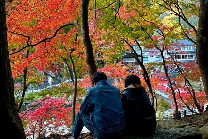 From Nagoya: Discover Aichi — Korankei, Miso, & Inari Shrine - Omotesando street: the lunch break you can actually use