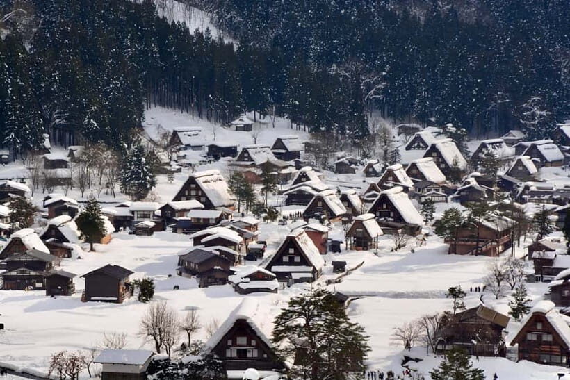 From Nagoya: Hida Takayama & Shirakawa-go Tour w/Opt. Lunch - Shirakawa-go in Real Life: UNESCO Views with 90 Minutes of Freedom