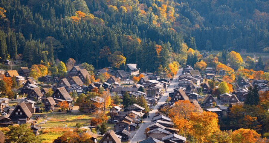 From Nagoya: Hida Takayama & Shirakawa-go Tour w/Opt. Lunch - Wada House, Kanda House, and the Ogimachi Viewpoint Photo Stop