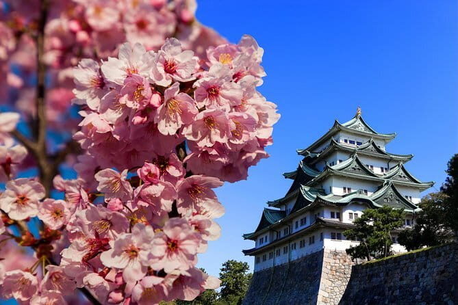 From Nagoya: Hida Takayama & Shirakawago Tour (Small Group) - What’s Included, What’s Not, and the Hidden Costs You Should Plan For
