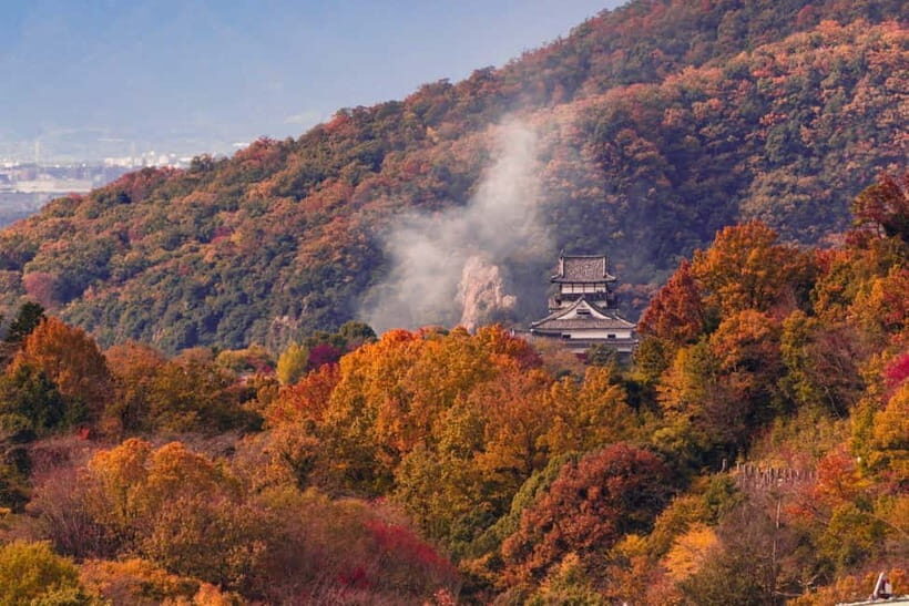 From Nagoya: Inuyama Castle, Ena Gorge, Magome, Tsumago Tour - Who Should Book This Day Trip