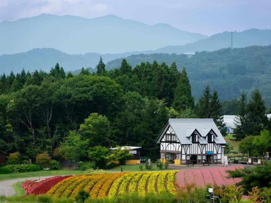 From Nagoya: Kamikochi Guided Hike in the Japanese Alps - Who this tour suits best