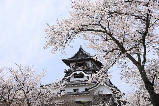 From Nagoya: Samurai Swords and Inuyama Castle Private Tour - From Nagoya: How This Day-Trip Stays Meaningful