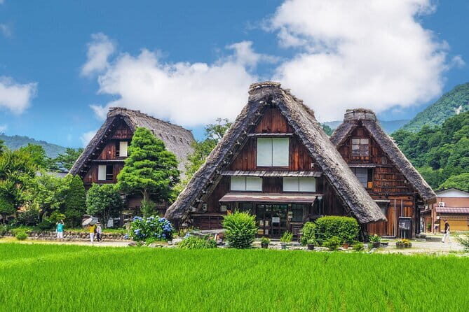 From Nagoya: Samurai Swords and Inuyama Castle Private Tour - Price and Value: What $312.08 Is Really Paying For