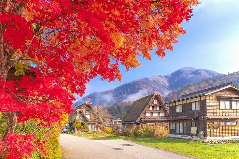 From Nagoya: Shirakawa-go & Hida-Takayama Full Day Trip - Shiroyama Viewpoint and the Observation Deck Option