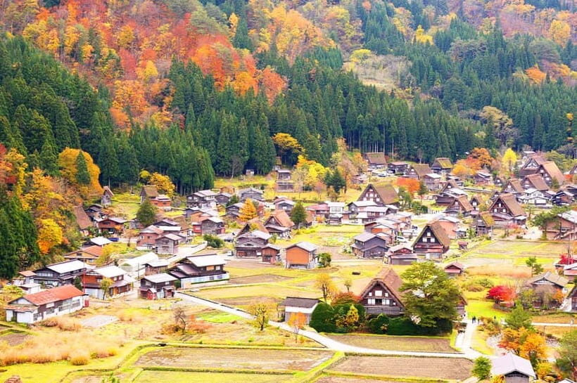 From Nagoya: Shirakawa-go & Hida-Takayama Full Day Trip - Ochudo Café and the One Piece Connection (Yes, It’s Real)