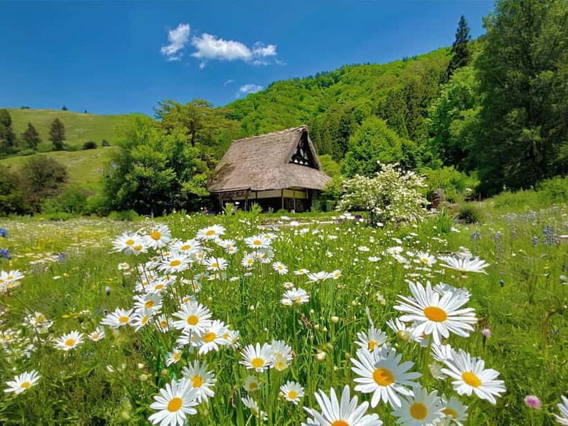 From Nagoya: Shirakawa-go UNESCO Village Day Trip w/ Pickup - Lunch planning around Hida beef: choose your style