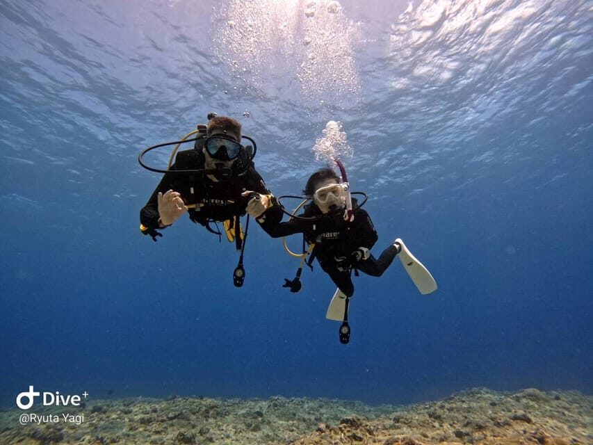 From Naha Scuba Diving Trip in Kerama(for certified divers) - Lunch on the Boat: Build Your Own Simple Day