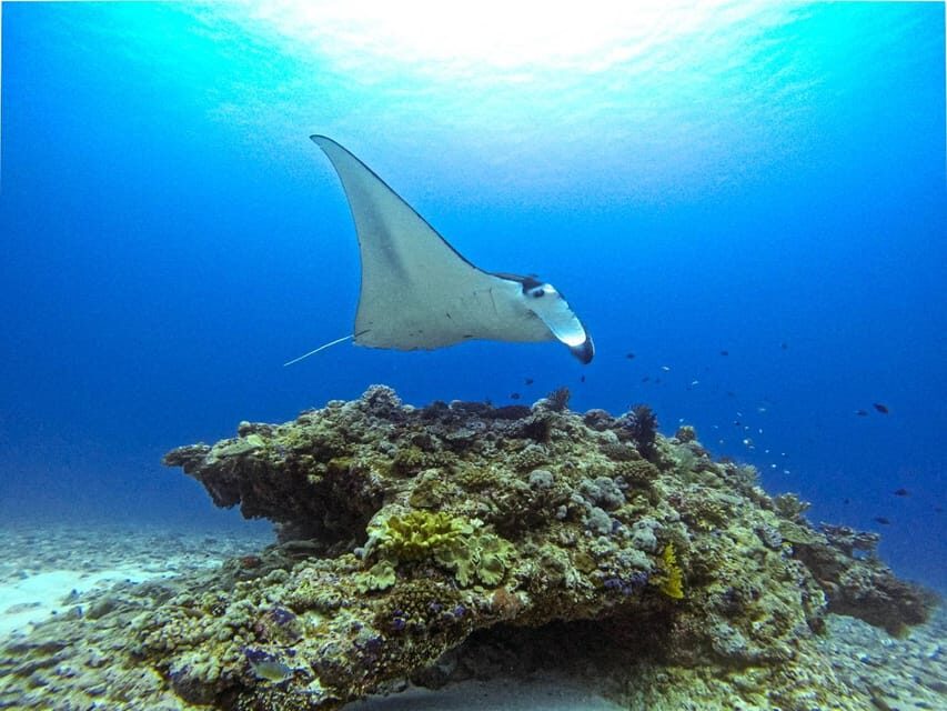 From Naha Scuba Diving Trip in Kerama(for certified divers) - Equipment Rental and Wetsuit Fit: One Real-World Watch-Out
