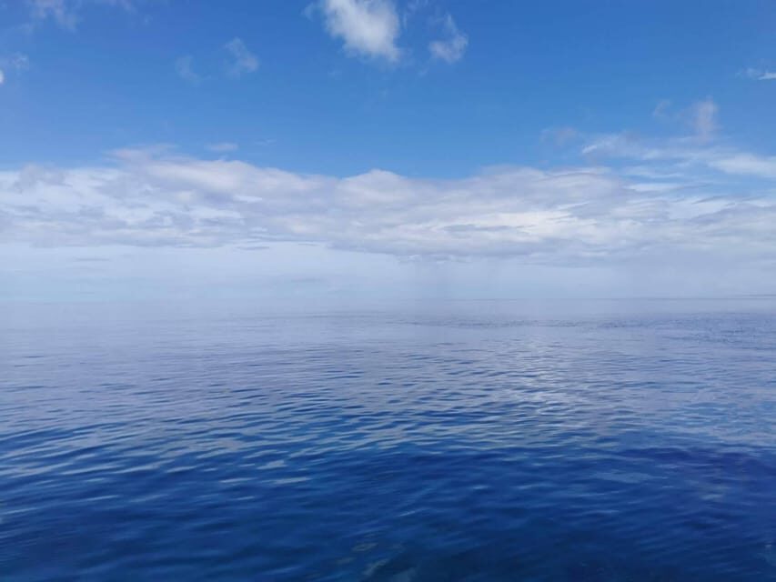 From Naha Scuba Diving Trip in Kerama(for certified divers) - The Price: What $206 Includes (and Why It Adds Up)