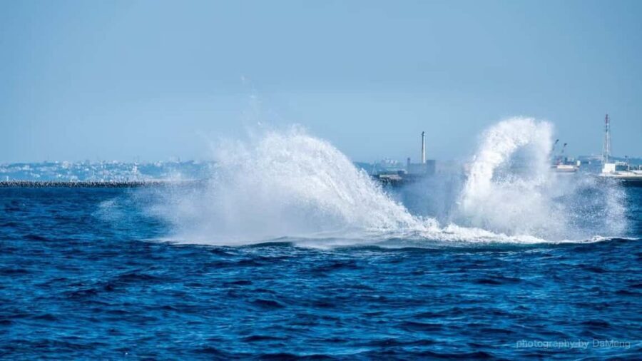 From Naha: Whale Watching with Pickup and English Guide - Pickup Spots in Naha: Choosing the Easiest Start (and Avoiding Sunday Snags)
