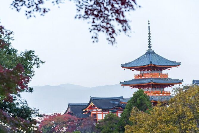 From Osaka: 10-hour Private Customizable Tour to Kyoto - Should you book this Osaka-to-Kyoto private tour?