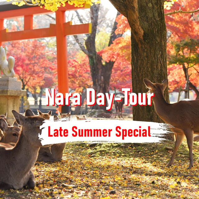 From Osaka: 10-hour Private Customized Tour to Nara - Key highlights that matter