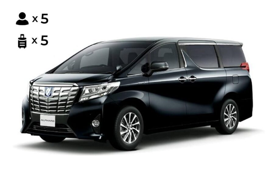 From Osaka: 10-hour Private Customized Tour to Nara - Nara Park and Todai-ji: deer mornings and the Great Buddha