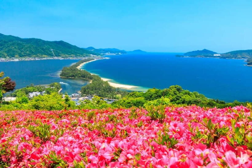 From Osaka: Amanohashidate and Ine Bay Day Trip - Who this day trip is for (and who should skip it)