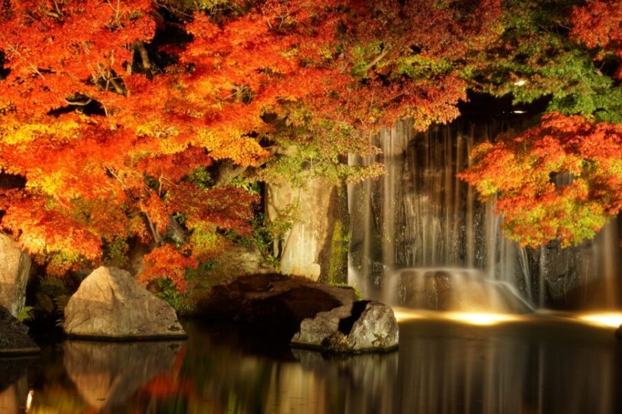 From Osaka: Himeji Castle, Arima Onsen & Mt. Rokko Day Tour - Should You Book This Osaka to Himeji, Arima Onsen, and Mt. Rokko Tour?