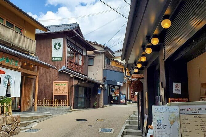 From Osaka/Kyoto: Kyoto & Nara Day Trip with Optional Lunch - The Kyoto Wasabi lunch option: what you’re paying for