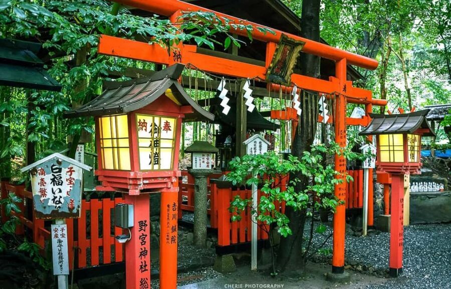 From Osaka: Kyoto, Nara, Fushimi Inari & Arashiyama Day Tour - Fushimi Inari Taisha: walking the thousand gates without losing your footing