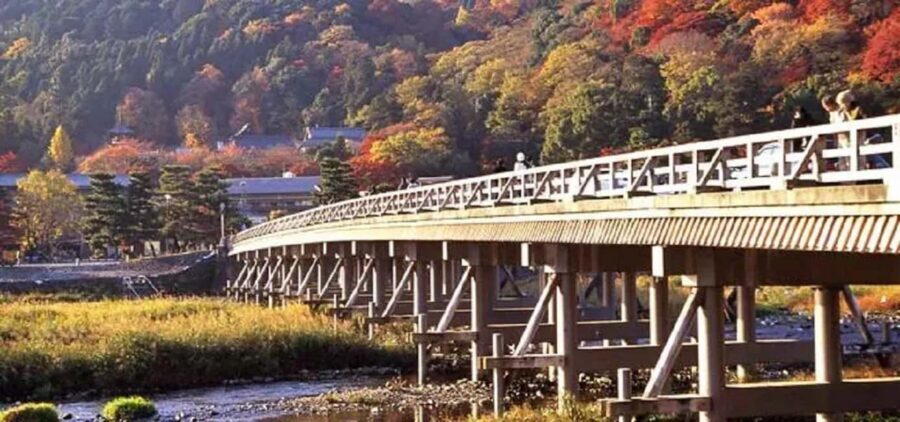 From Osaka: Kyoto, Nara, Fushimi Inari & Arashiyama Day Tour - Torokko Saga Station and the train option: scenery you can add