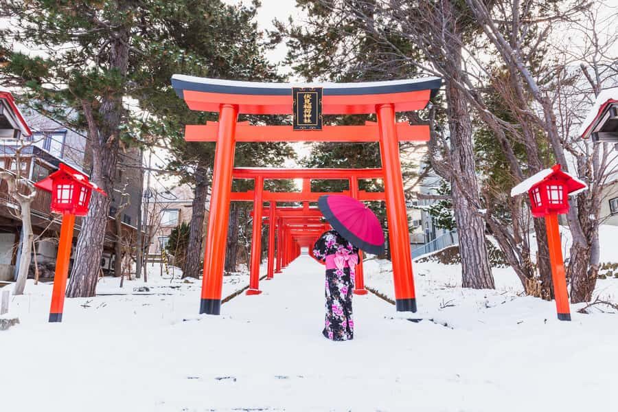 From Osaka: Kyoto & Nara Highlights Day Tour (7 attractions) - Key points worth knowing before you go