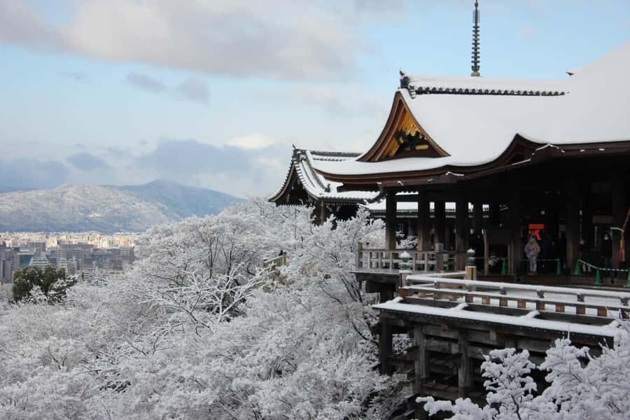 From Osaka: Kyoto & Nara Highlights Day Tour (7 attractions) - Kasugataisha Shrine: Lantern-Lit Calm You Can Actually Feel