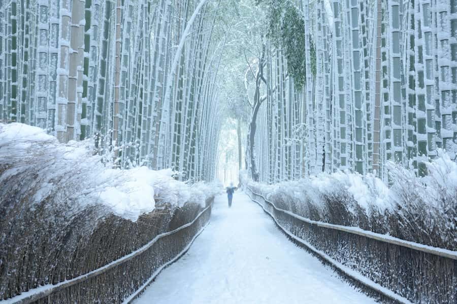 From Osaka: Kyoto & Nara Highlights Day Tour (7 attractions) - Crowds, Timing, and Why the Day Can Feel Long