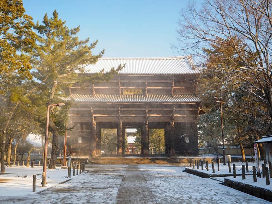 From Osaka: Kyoto & Nara Highlights Day Tour (7 attractions) - Guides Make It Better: Explanations, Care, and Photo Help