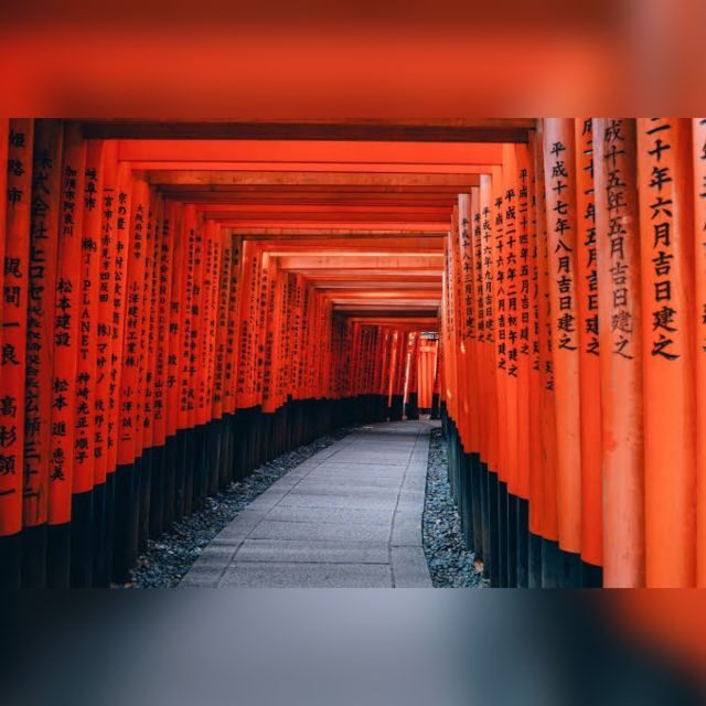 From Osaka/Kyoto: Private Kyoto & Nara Day Trip with Pickup - Nara Park and Todaiji: deer encounters and a 15-meter Great Buddha