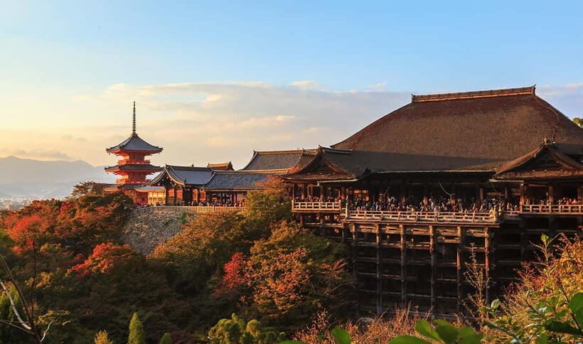 From Osaka: Nara Deer & Kyoto Kiyomizudera Sightseeing Tour - Price and value: what your $69 actually buys