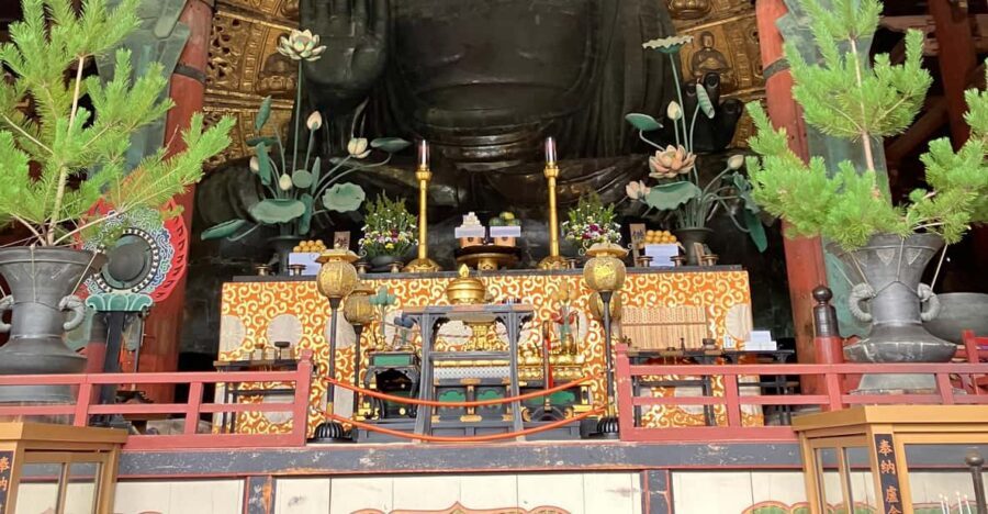 From Osaka: Nara Private Tour with Meet-Up at Your Hotel - Key points that make this tour worth your time