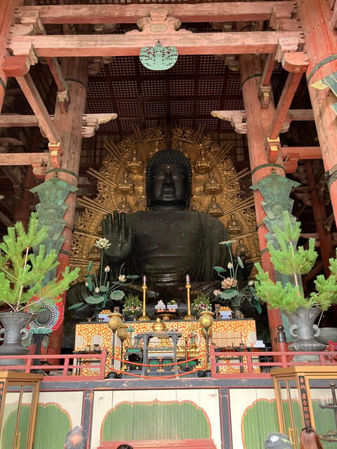 From Osaka: Nara Private Tour with Meet-Up at Your Hotel - From your Osaka hotel to Nara: pickup, train time, and practical comfort