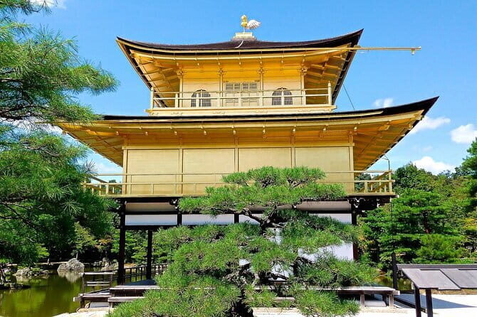 From Osaka or Kyoto: Kyoto and Nara 1-Day Bus Tour - Key points worth knowing before you go