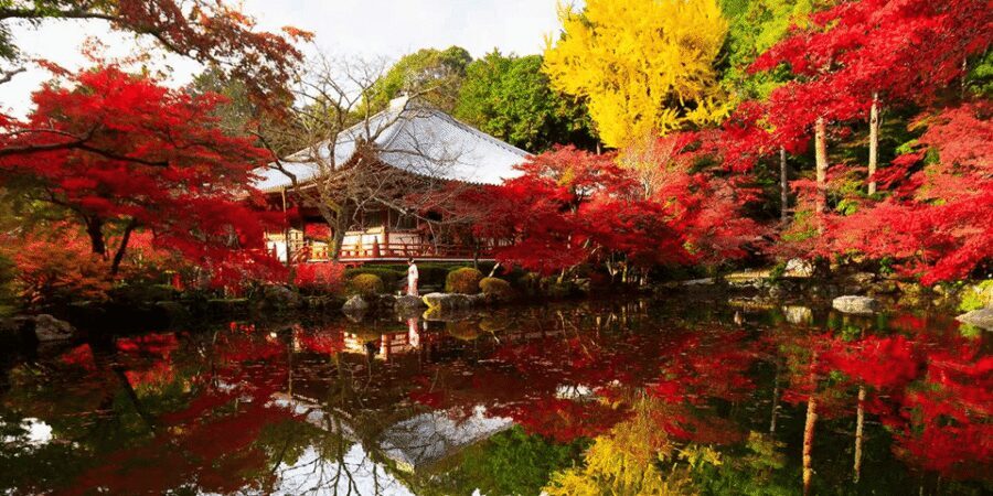From Osaka: Private Customized Day Tour to Kyoto - How the Private Kyoto Day Fits Into Your Osaka Stay