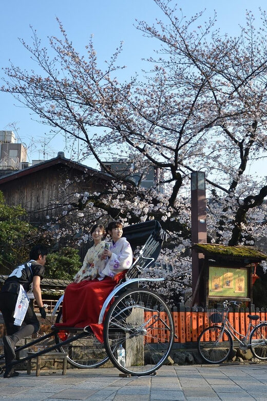 From Osaka: Private Customized Day Tour to Kyoto - Private Transport: It’s More Than a Ride, But It’s Not a Narrated Guide