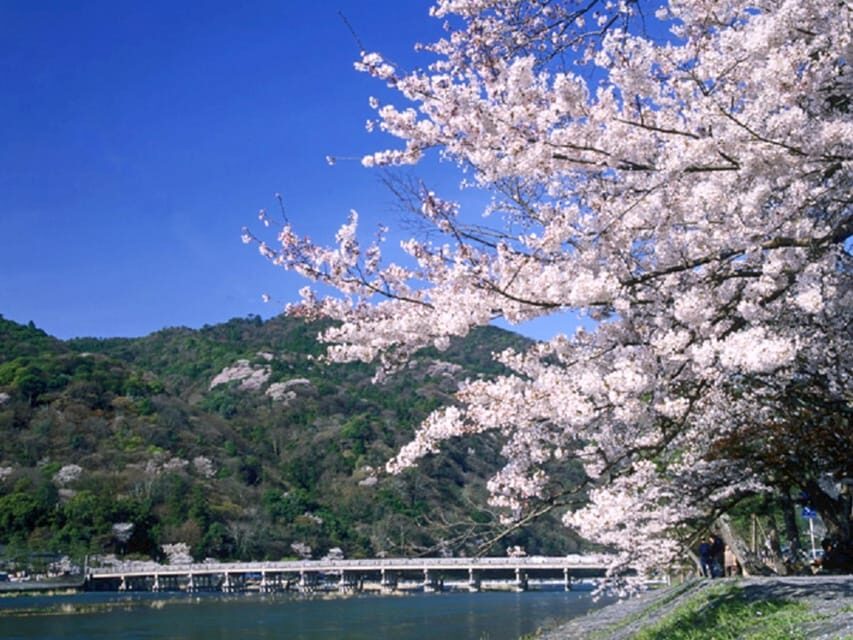 From Osaka: Sagano Train Ride and Kyoto Guided Day Tour - Key highlights to look forward to