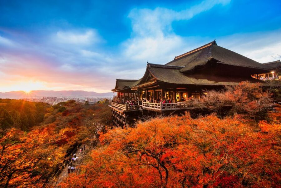 From Osaka: Sagano Train Ride and Kyoto Guided Day Tour - Timing, walking, and comfort: small details that change the day