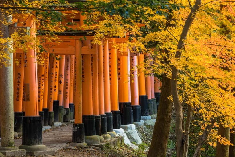 From Osaka: Sagano Train Ride and Kyoto Guided Day Tour - Price and value at $66: what you’re actually getting
