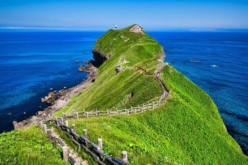 From Sapporo: Hokkaido Highlights Day Trip - Shimamui Coast: Japan’s 100 Best Beaches Stop