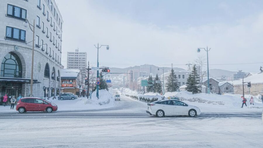 From Sapporo: Private Customized Day Tour to Otaru - Price and value: is $497 per group up to 5 actually fair