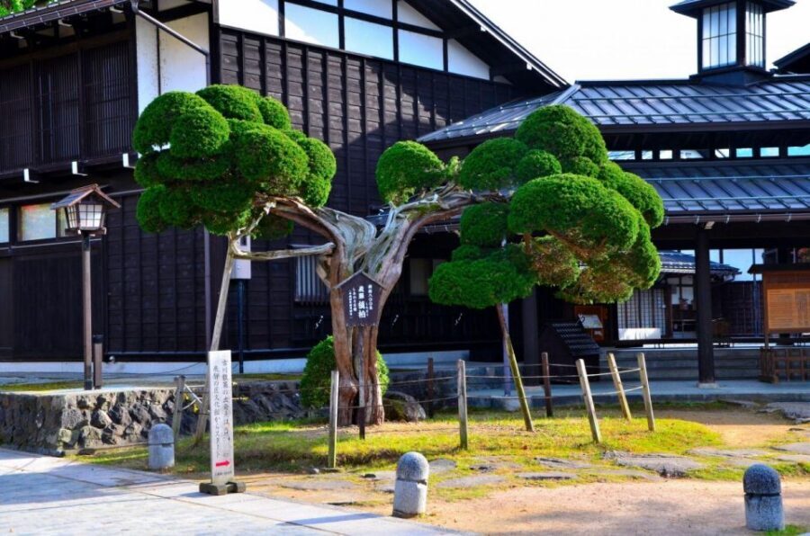 From Takayama: Delve into Hida-Furukawa's Cultural Treasures - Getting back to Takayama: timing that keeps the day sane