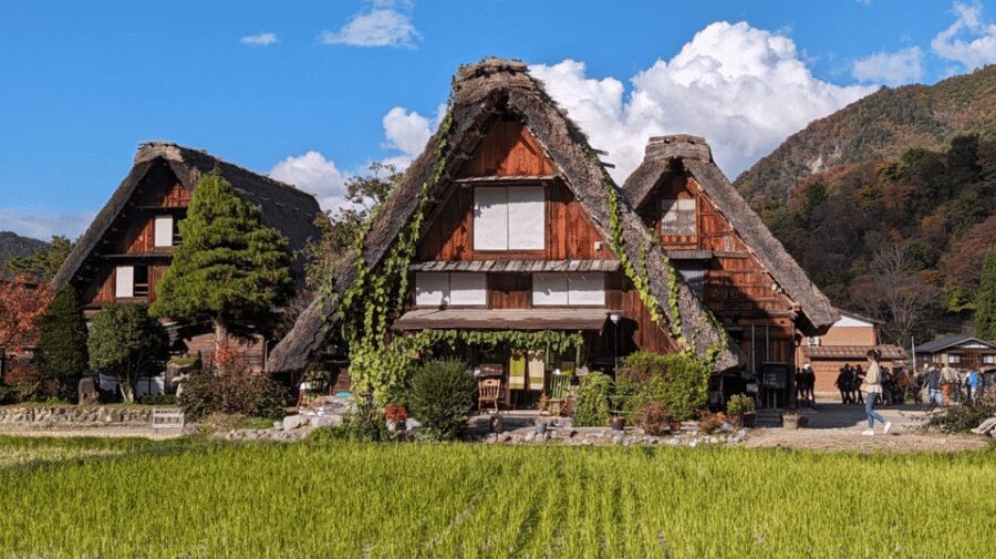 From Takayama: Guided Day Trip to Takayama and Shirakawa-go - Key points to know before you go