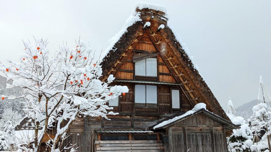 From Takayama: Guided Day Trip to Takayama and Shirakawa-go - Sanmachi old town and Miyagawa Morning Market: where the Hida flavor shows up