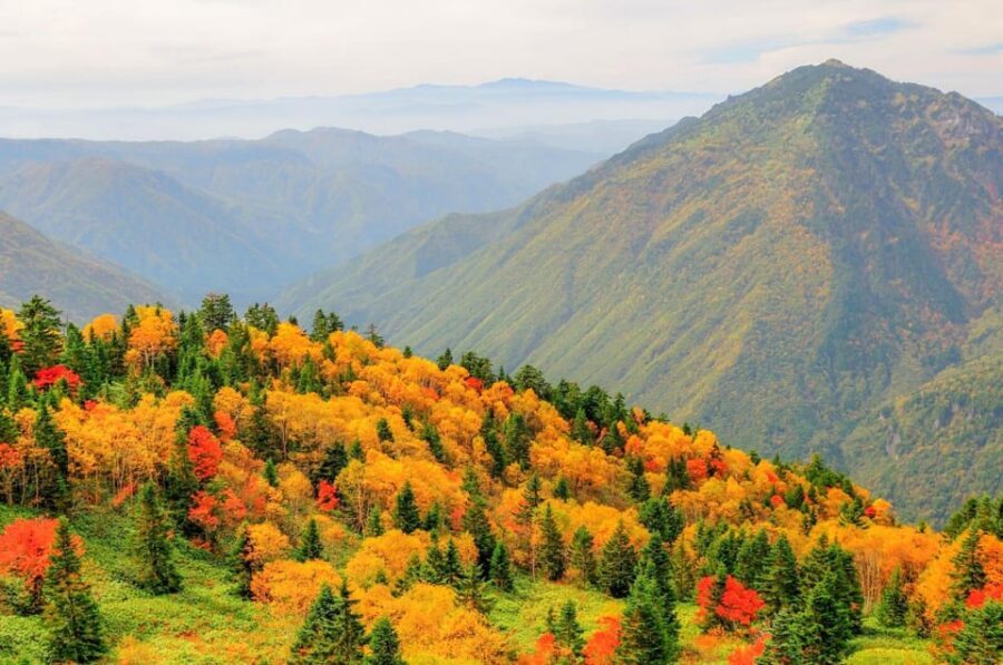 From Takayama: Shinhotaka Ropeway and Kamikochi tour - Your free time in Kamikochi: 90 minutes to choose your pace