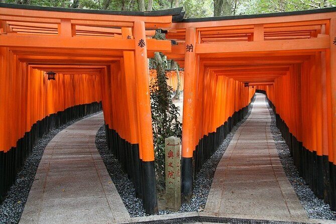 From Tokyo 1-Day Kyoto English-guided Tour by Bullet Train - Shinkansen Details That Actually Affect Your Comfort